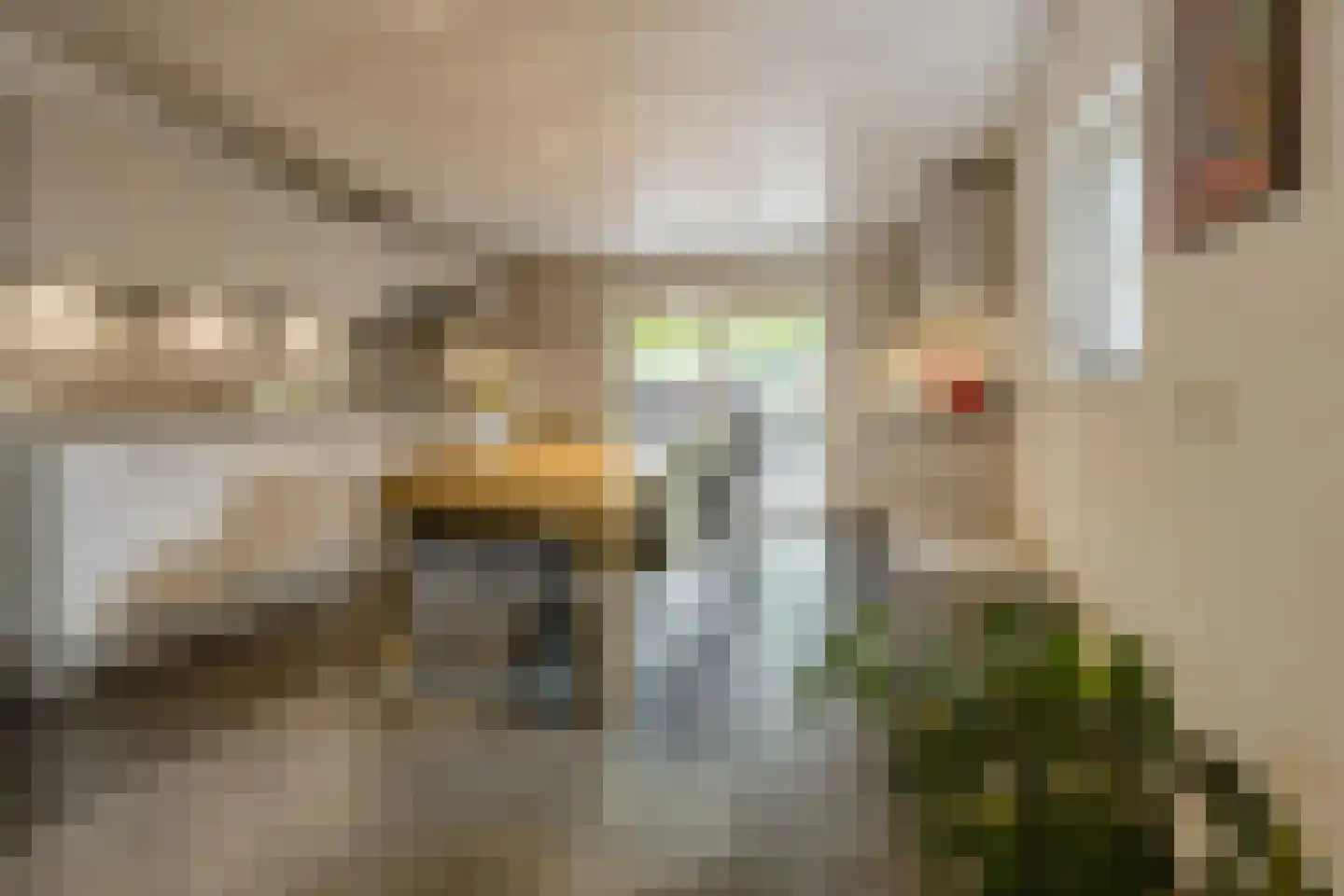 Plantsoen 33 Lage Zwaluwe thumbnail 8