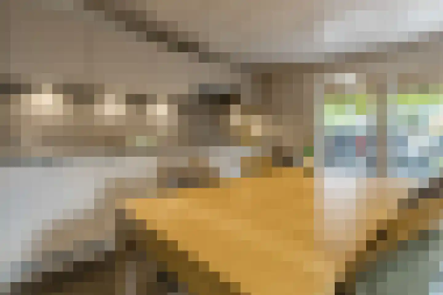 Plantsoen 33 Lage Zwaluwe thumbnail 9