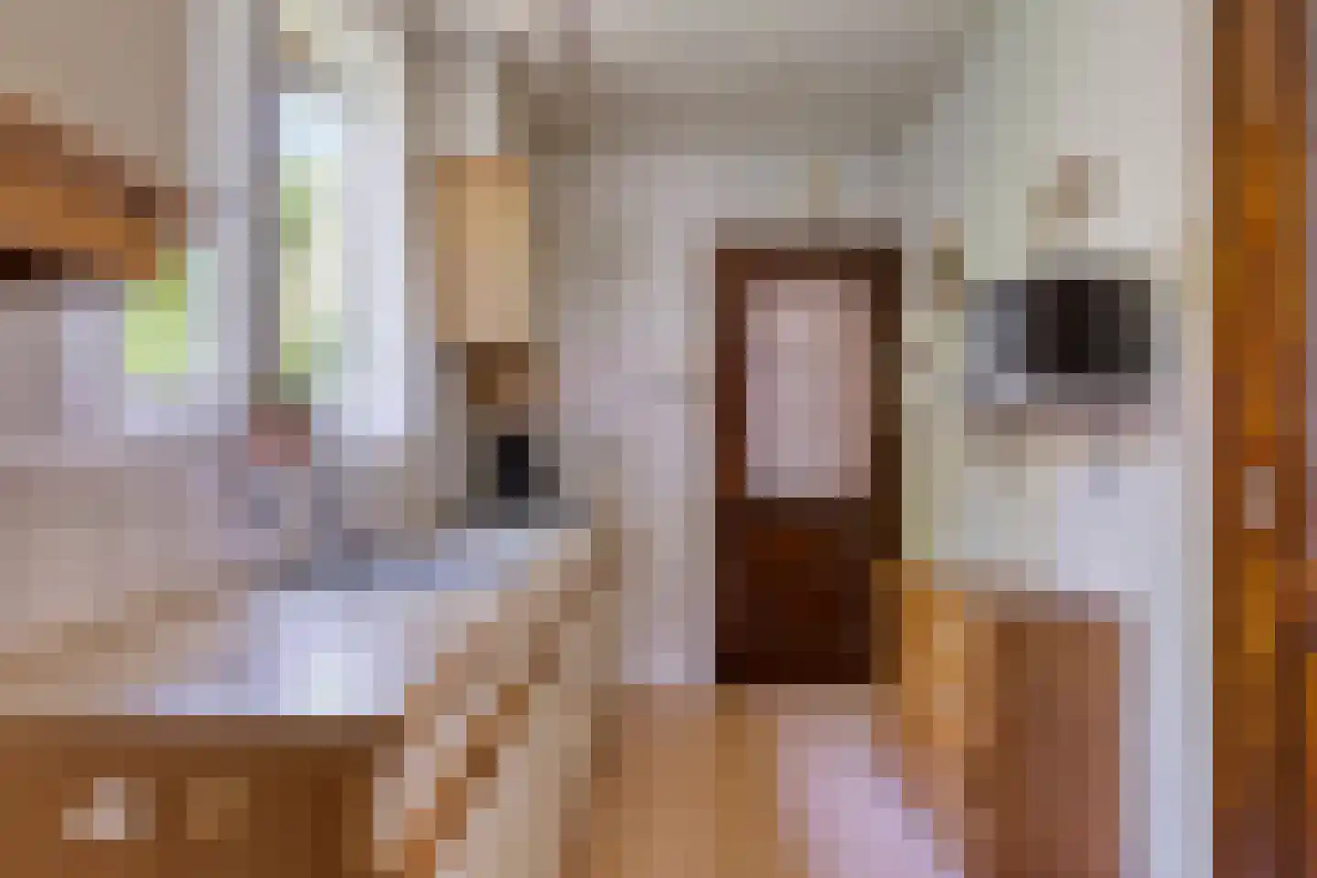 Plantsoen 34 Lage Zwaluwe thumbnail 14