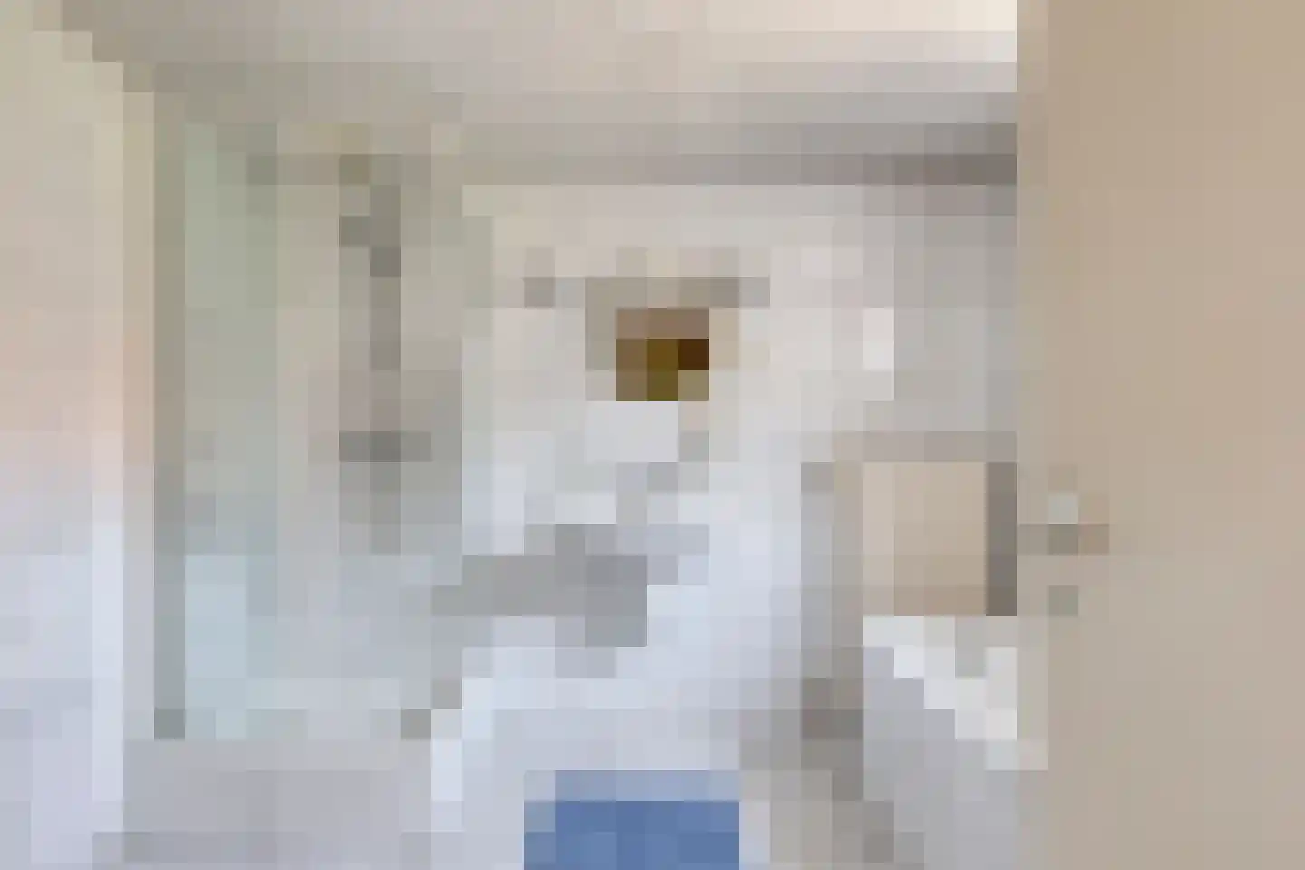 Plantsoen 34 Lage Zwaluwe thumbnail 17
