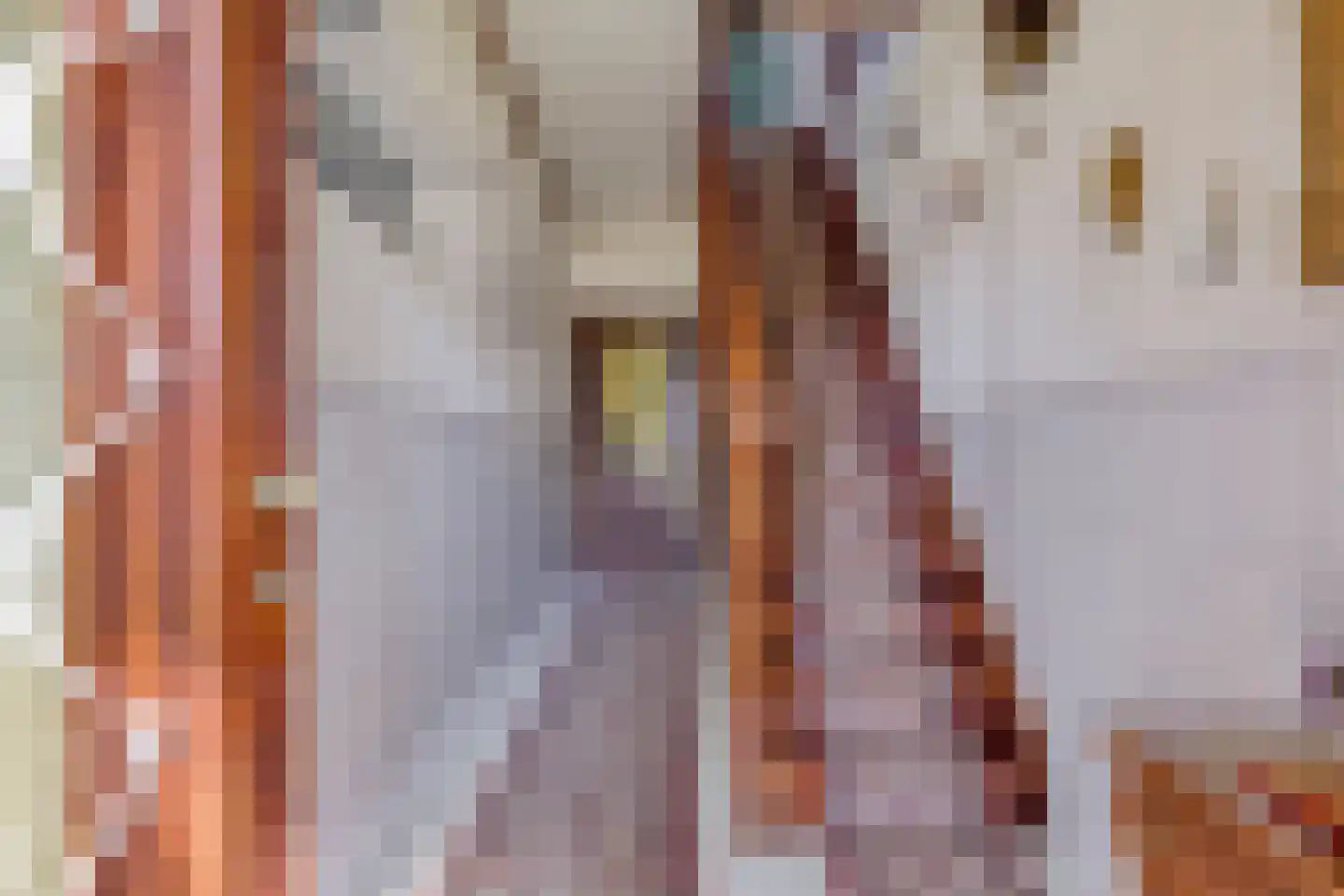 Plantsoen 34 Lage Zwaluwe thumbnail 20
