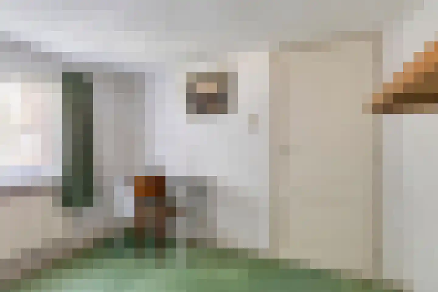 Plantsoen 34 Lage Zwaluwe thumbnail 25