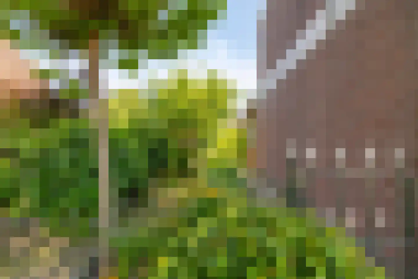 Plantsoen 34 Lage Zwaluwe thumbnail 26