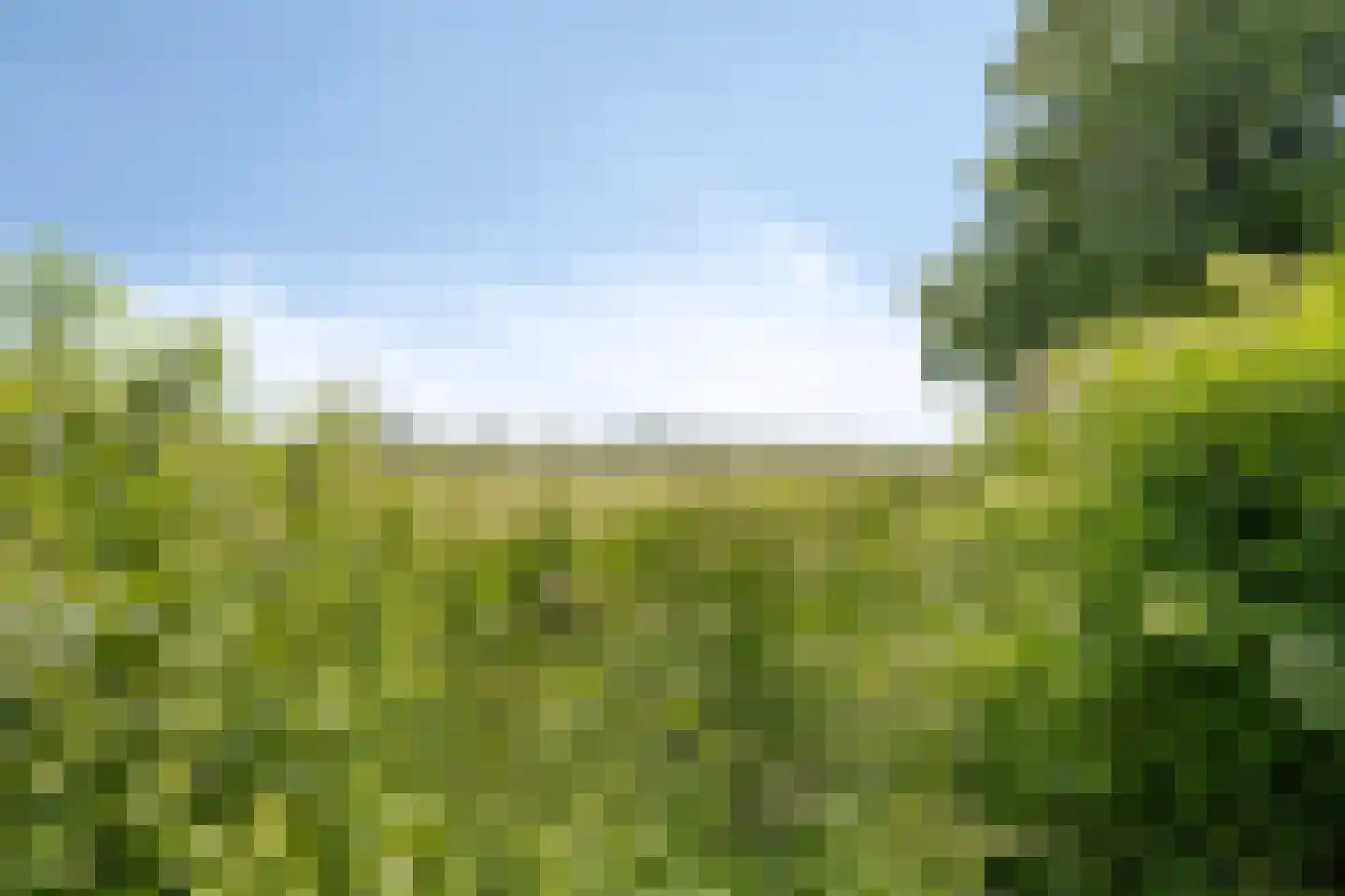 Plantsoen 34 Lage Zwaluwe thumbnail 35