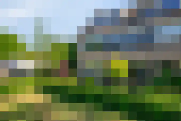Plantsoen 34 Prinsenbeek thumbnail 31