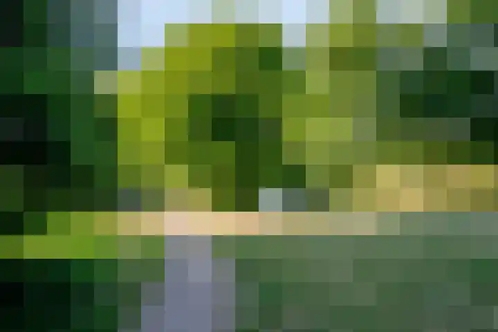 Plantsoen 34 Prinsenbeek thumbnail 34