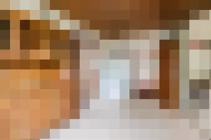 Plantsoen 34 Vroomshoop thumbnail 10