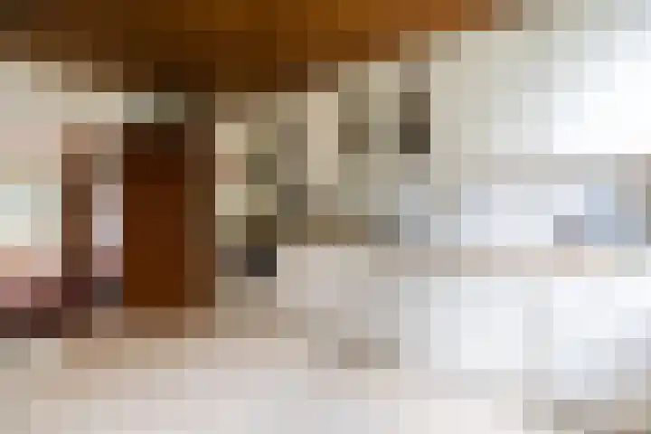 Plantsoen 34 Vroomshoop thumbnail 11