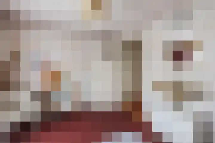 Plantsoen 34 Vroomshoop thumbnail 15