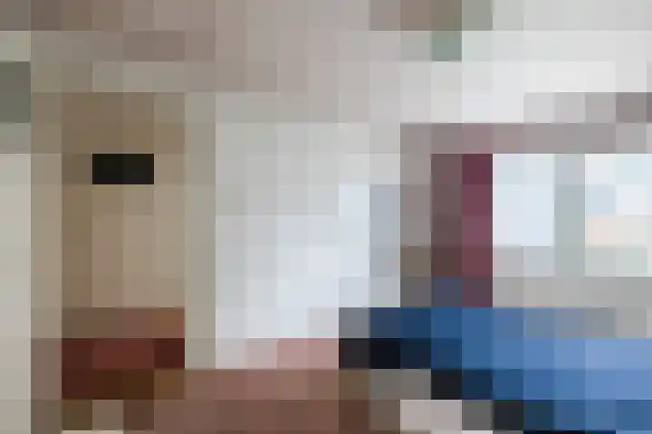 Plantsoen 34 Vroomshoop thumbnail 17