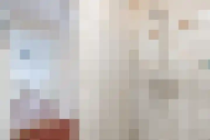 Plantsoen 34 Vroomshoop thumbnail 24