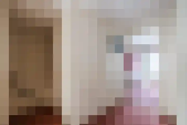 Plantsoen 34 Vroomshoop thumbnail 25
