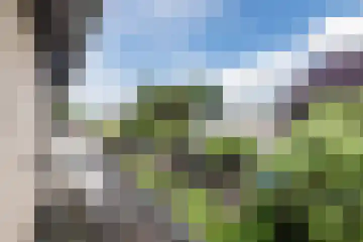 Plantsoen 34 Vroomshoop thumbnail 26