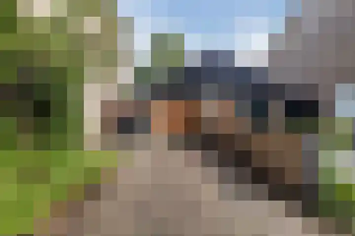 Plantsoen 34 Vroomshoop thumbnail 31