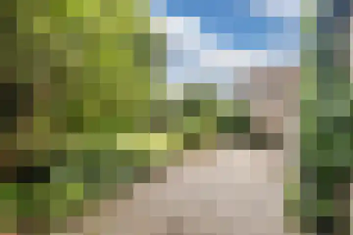 Plantsoen 34 Vroomshoop thumbnail 34