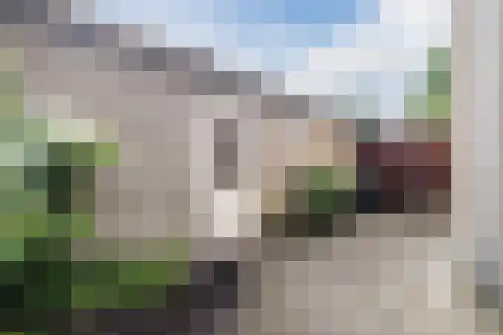 Plantsoen 34 Vroomshoop thumbnail 35