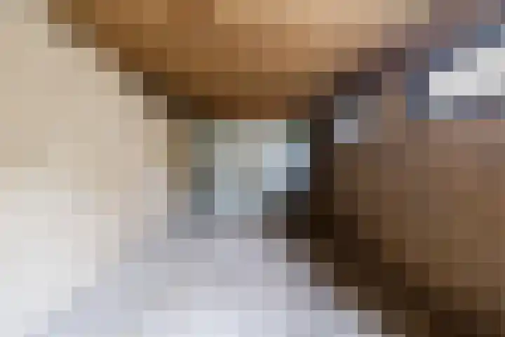 Plantsoen 34 Vroomshoop thumbnail 36