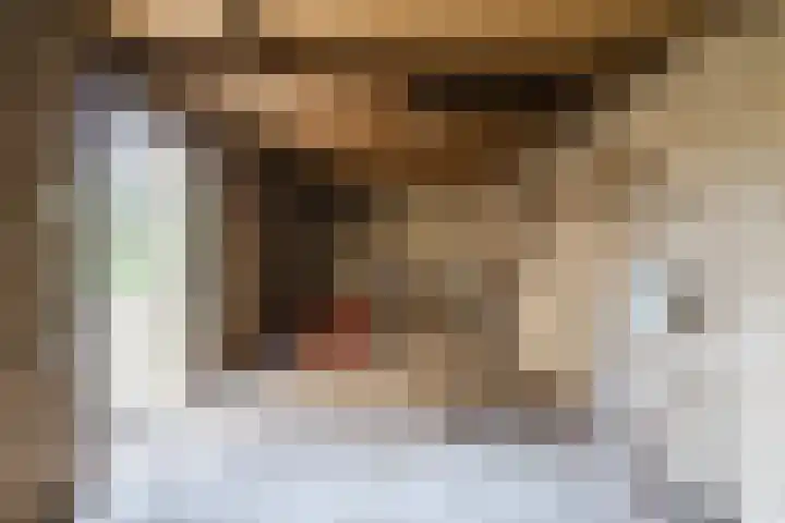 Plantsoen 34 Vroomshoop thumbnail 37