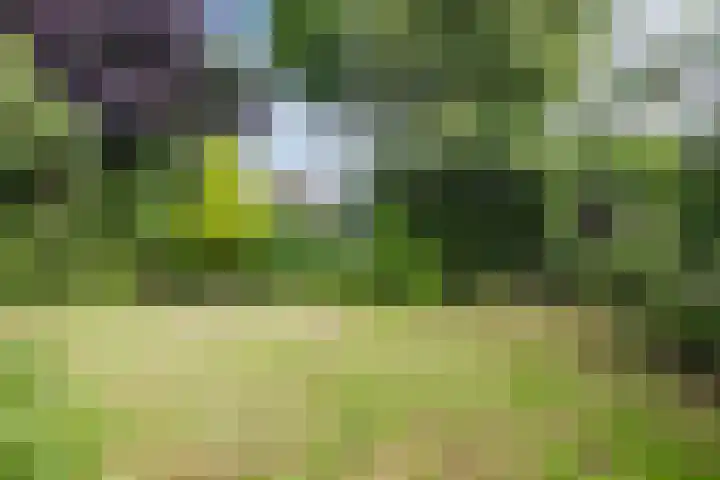 Plantsoen 34 Vroomshoop thumbnail 38