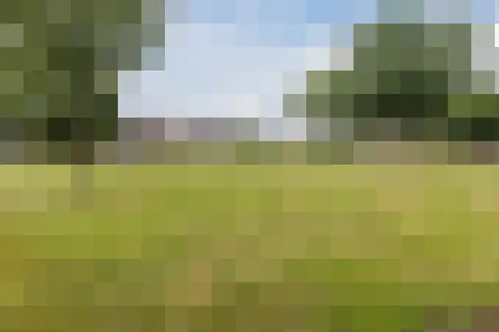 Plantsoen 34 Vroomshoop thumbnail 39