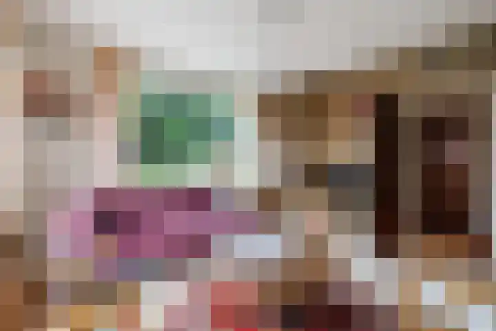 Plantsoen 34 Vroomshoop thumbnail 4