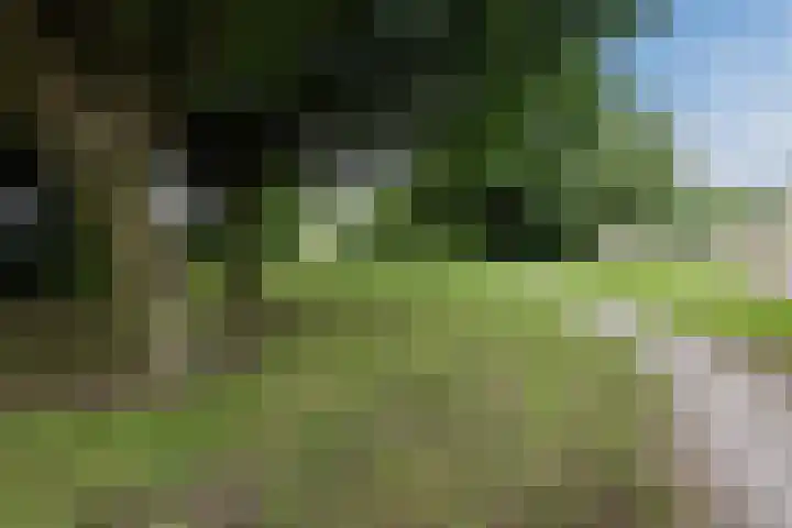Plantsoen 34 Vroomshoop thumbnail 40