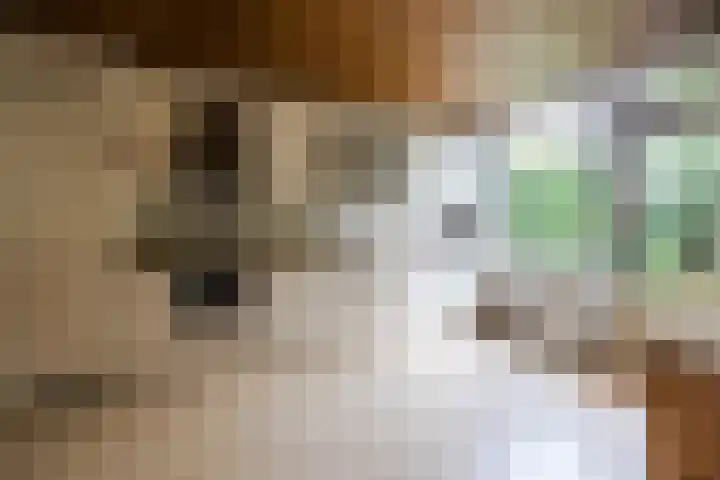 Plantsoen 34 Vroomshoop thumbnail 8