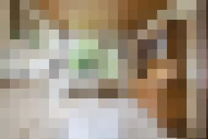 Plantsoen 34 Vroomshoop thumbnail 9