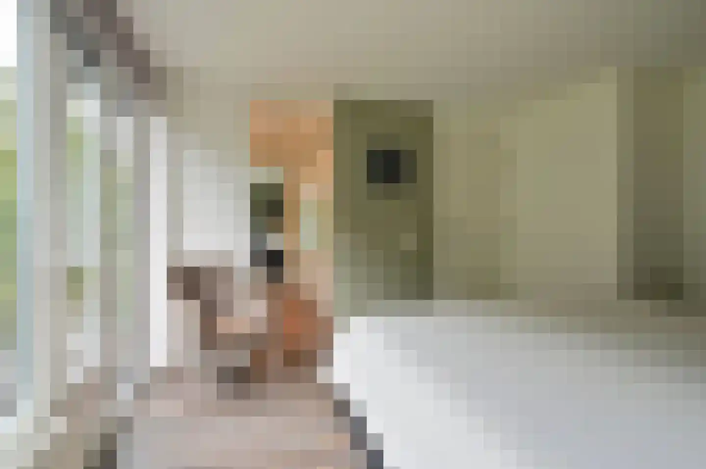 Plantsoen 4 Eemnes thumbnail 19