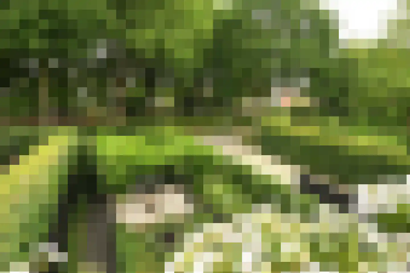 Plantsoen 4 Eemnes thumbnail 28