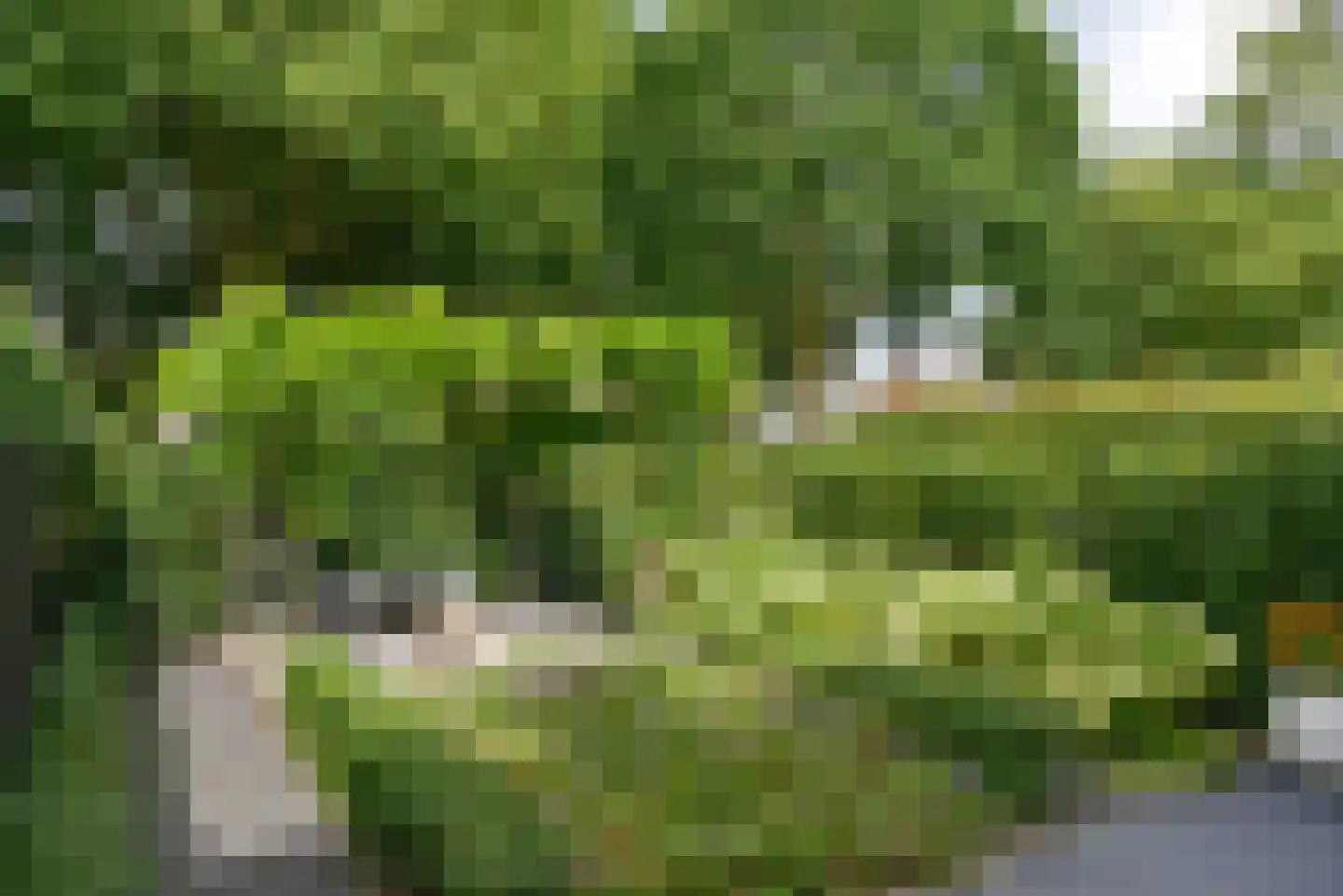 Plantsoen 4 Eemnes thumbnail 32