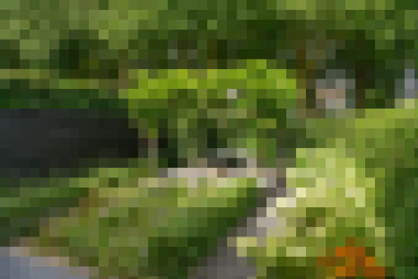 Plantsoen 4 Eemnes thumbnail 33