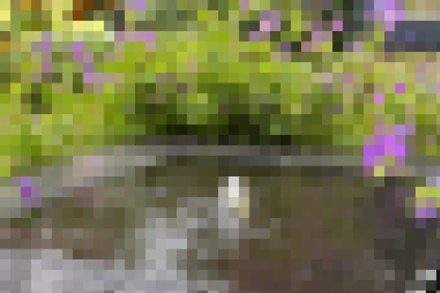 Plantsoen 4 Eemnes thumbnail 34