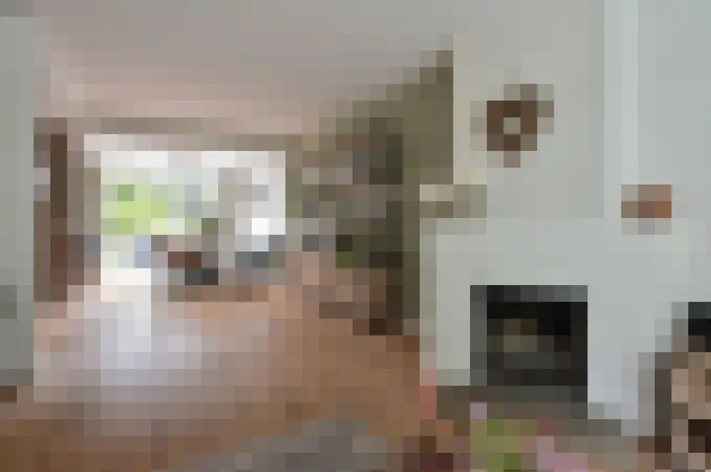Plantsoen 4 Eemnes thumbnail 7