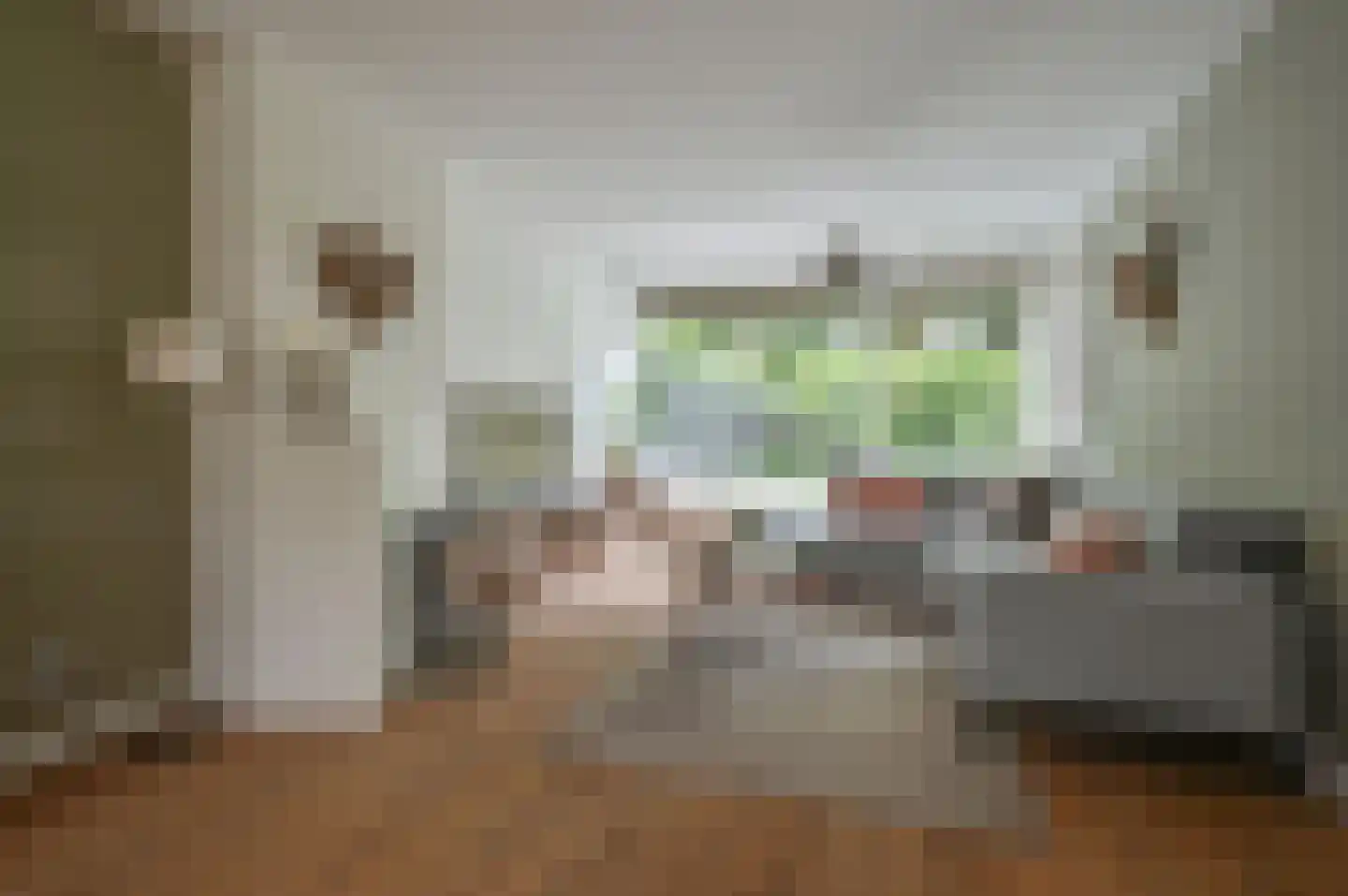 Plantsoen 4 Eemnes thumbnail 9