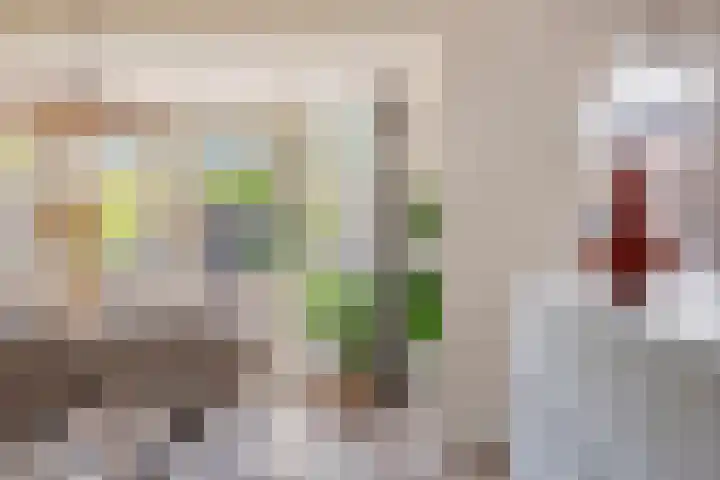 Plantsoen 4 Schagen thumbnail 10