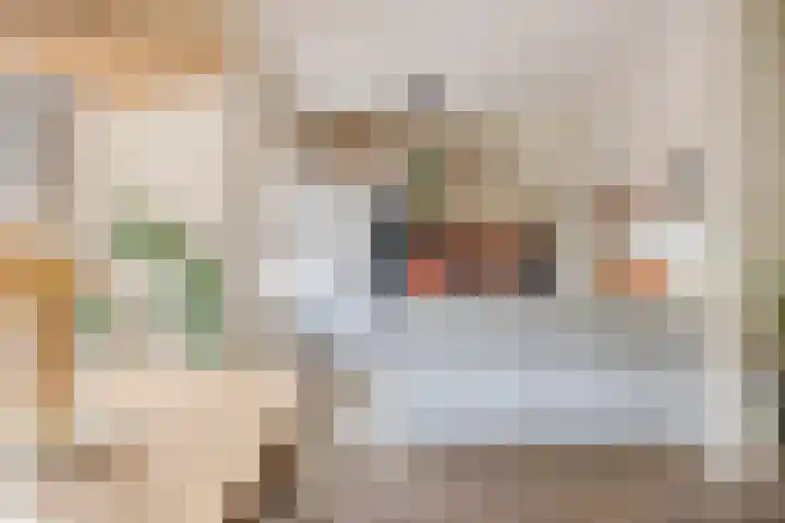 Plantsoen 4 Schagen thumbnail 12