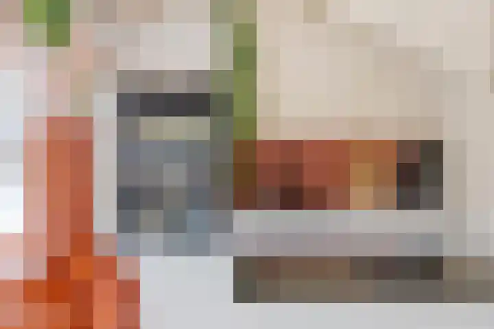 Plantsoen 4 Schagen thumbnail 13