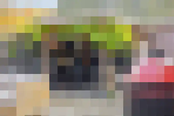 Plantsoen 4 Schagen thumbnail 27