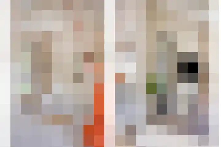 Plantsoen 4 Schagen thumbnail 8