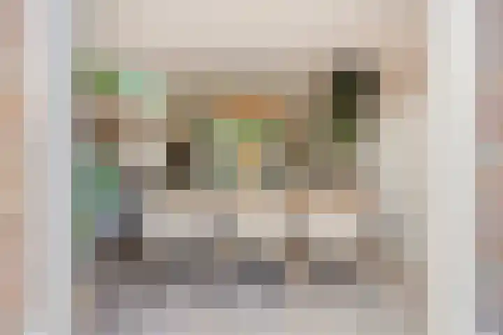 Plantsoen 4 Schagen thumbnail 9