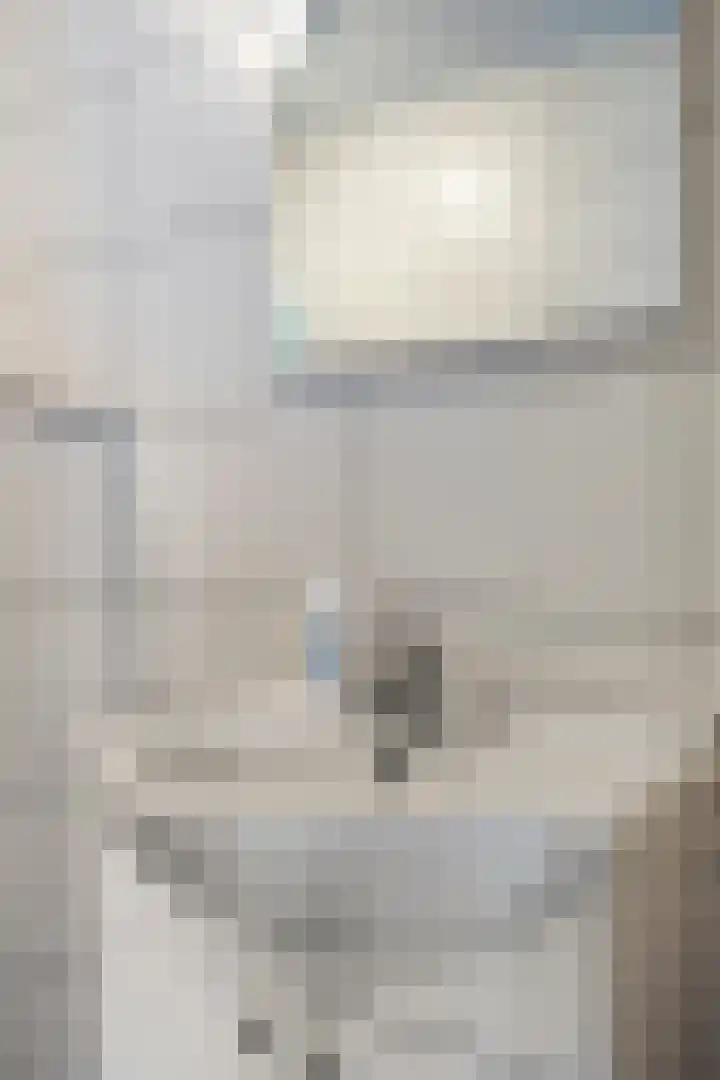 Plantsoen 47 De Wilp thumbnail 24