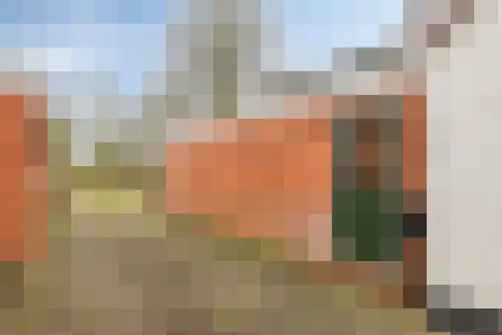 Plantsoen 47 De Wilp thumbnail 25