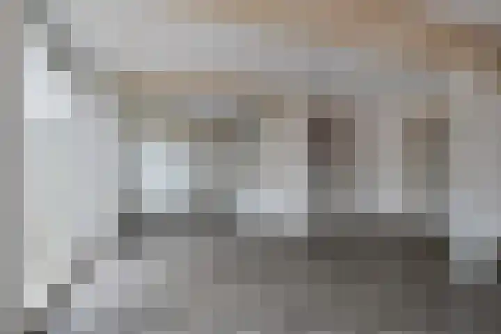 Plantsoen 47 De Wilp thumbnail 28