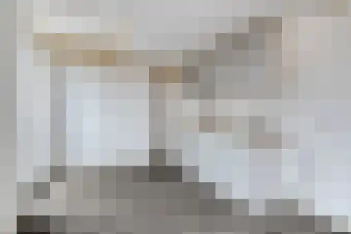 Plantsoen 47 De Wilp thumbnail 31