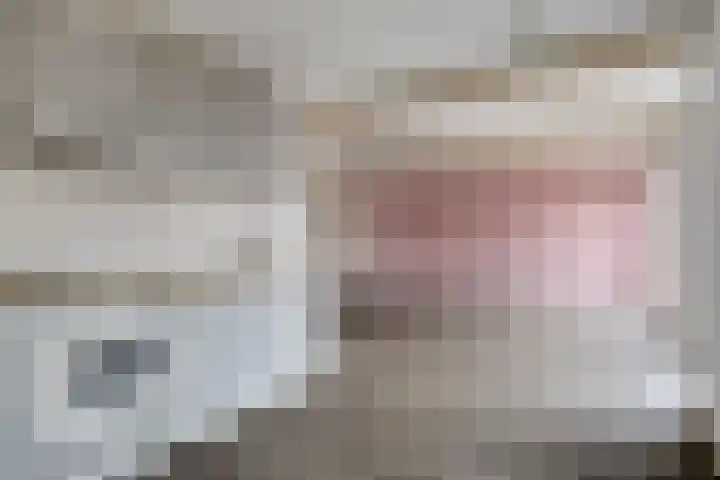 Plantsoen 47 De Wilp thumbnail 32