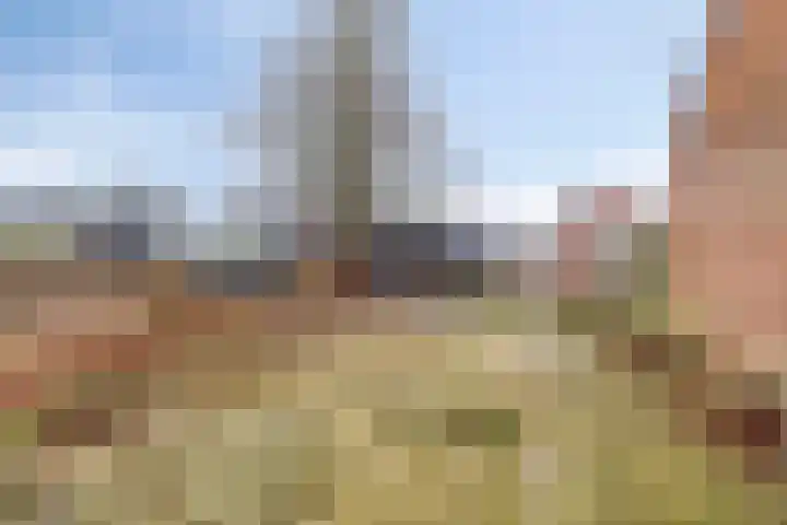 Plantsoen 47 De Wilp thumbnail 4