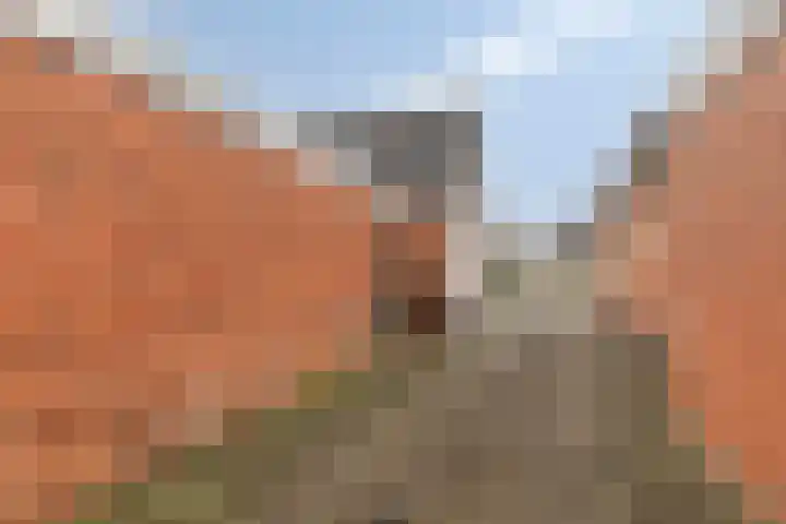 Plantsoen 47 De Wilp thumbnail 41