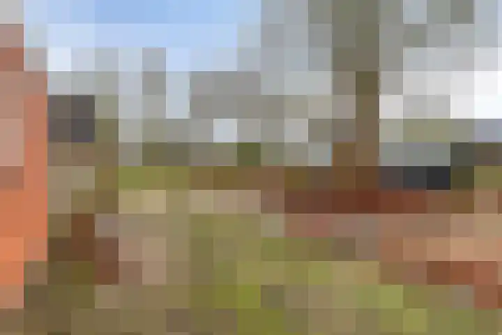 Plantsoen 47 De Wilp thumbnail 42