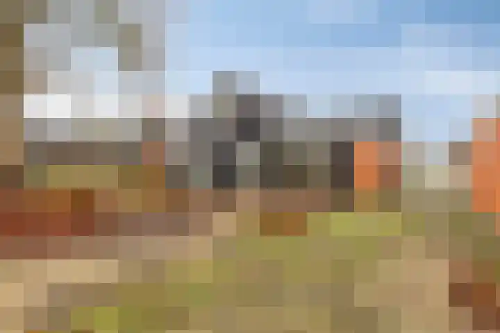 Plantsoen 47 De Wilp thumbnail 45